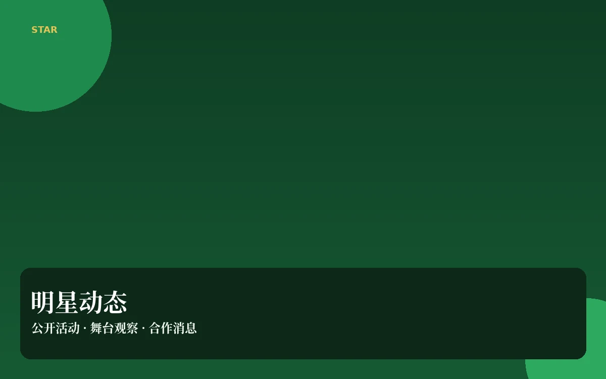 明星动态公开信息导览